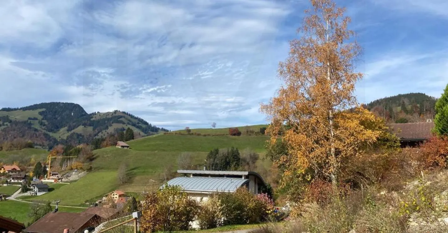 Land with building permit for an individual villa-chalet - Photo 2 of 7