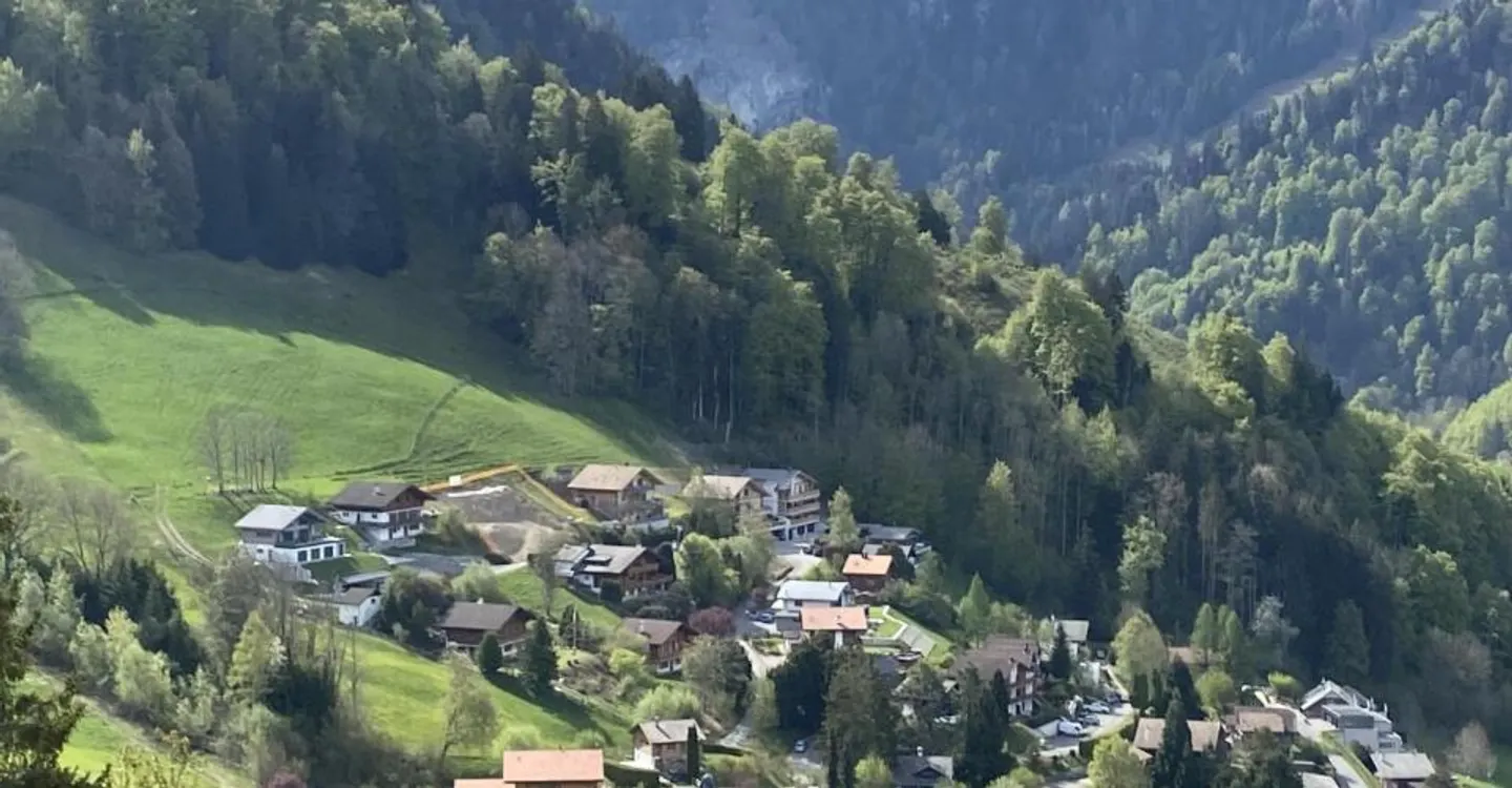 Land with building permit for an individual villa-chalet - Photo 4 of 7