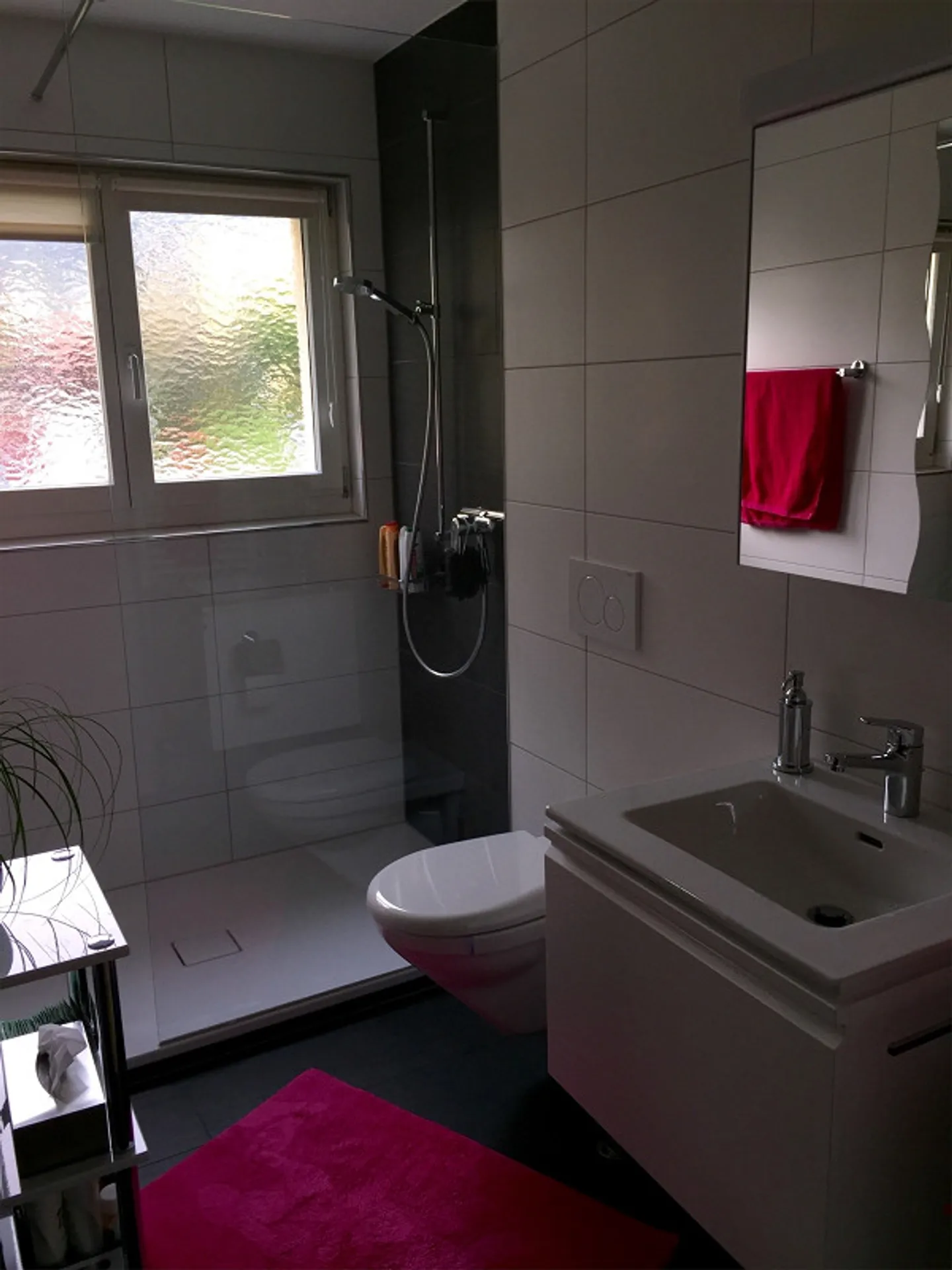 Renovierte Wohnung in Balgach - Foto 5 von 10