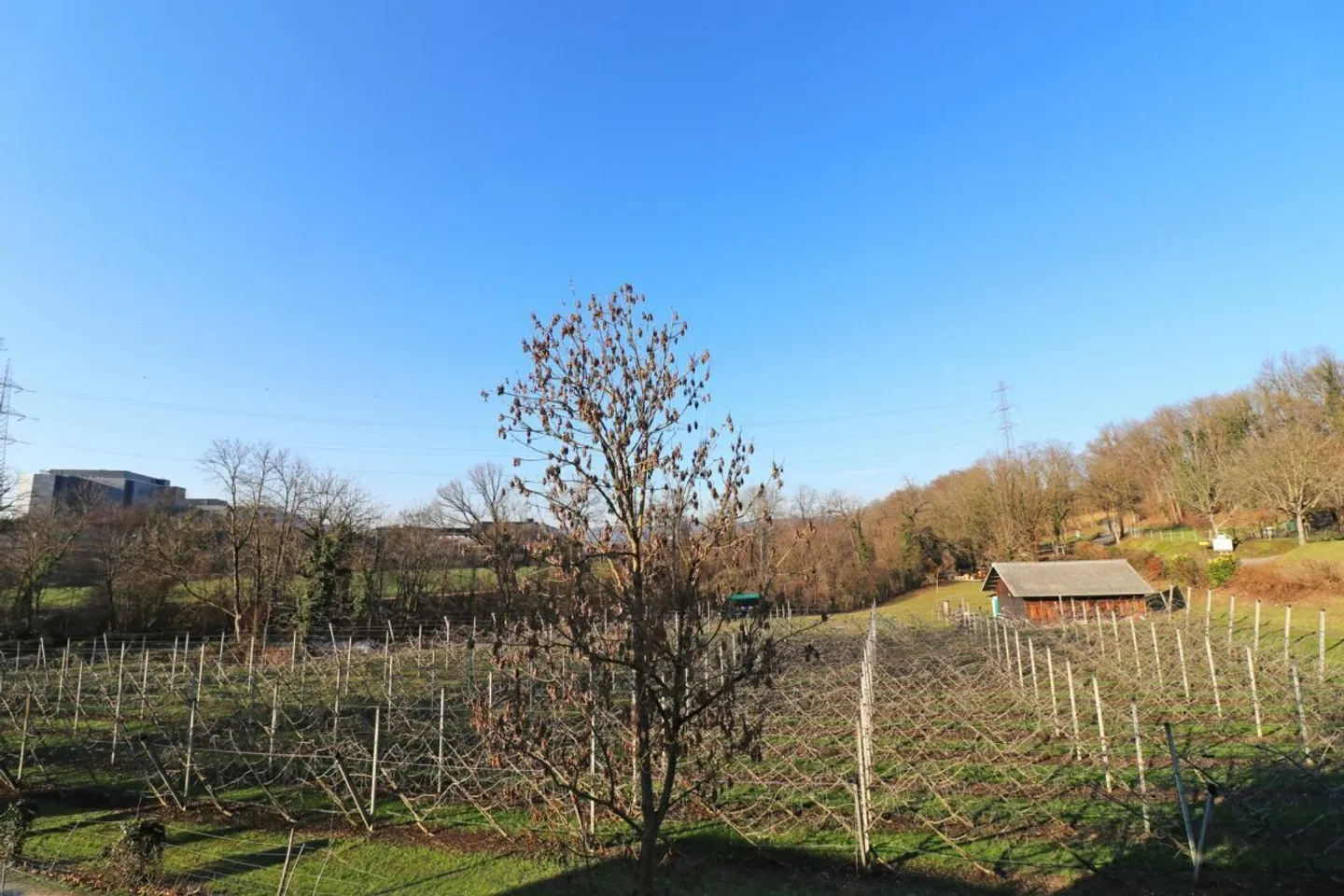 Füllinsdorf Wölferstrasse 31 - Foto 5 von 9