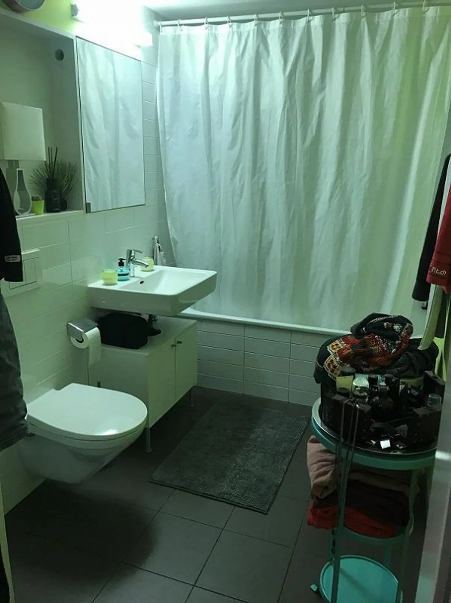 Stylisches Loft Am Rietpark - Foto 5 von 6