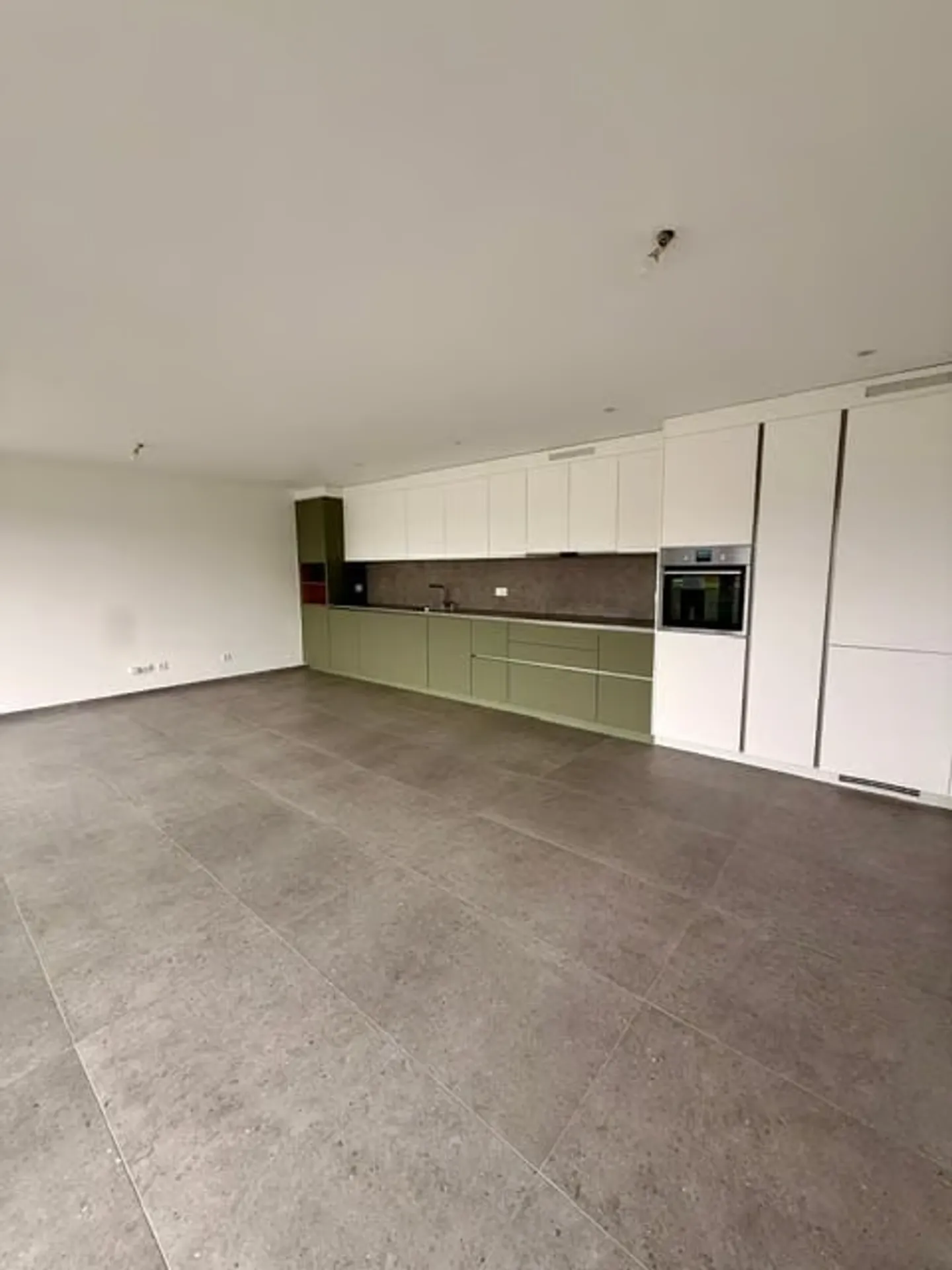 CAMPESTRO - 4.5 Room Duplex for Sale - Photo 6 of 20