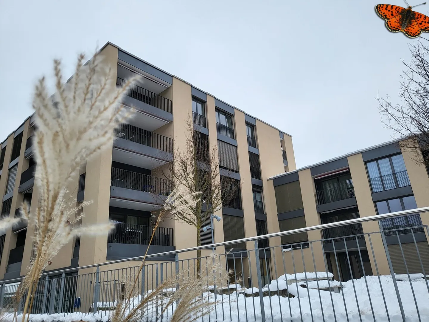 Storage Depot 1 Room - Photo 5 of 6