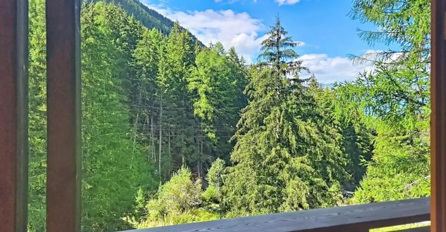 4.5 rooms in Planchouet (Nendaz) in the heart of the forest! - Photo 11 of 12