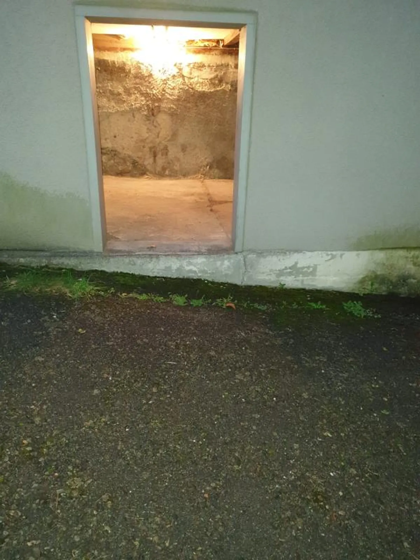 Comparto cantina - Foto 4 di 4