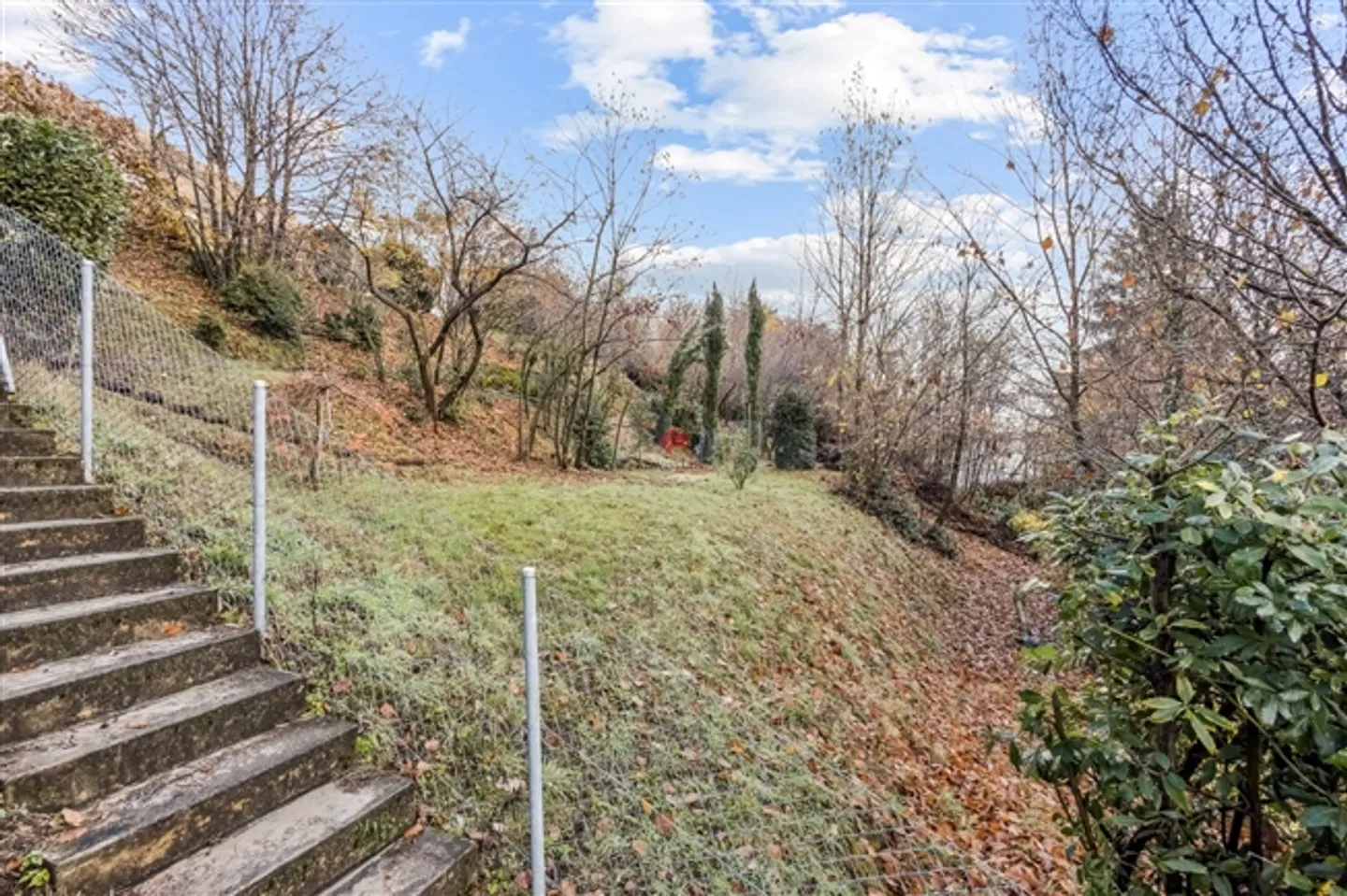 «Bauland» - Photo 9 sur 12