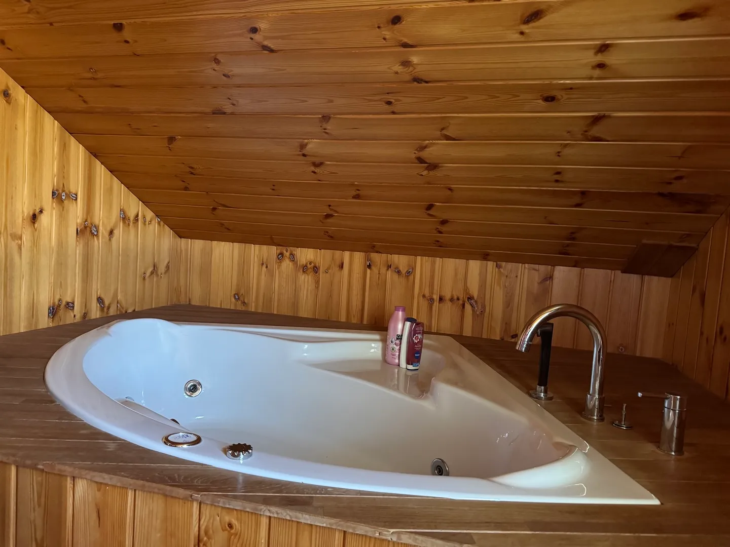 Charming Attic in Valais - Photo 10 of 13