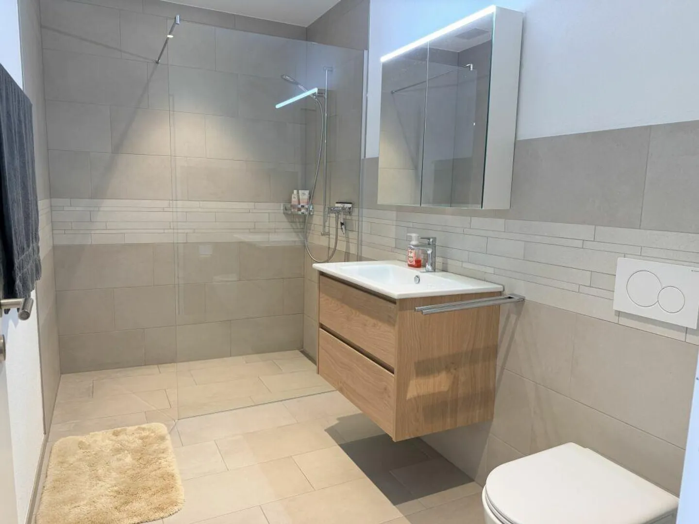 Attractive apartment near the Thur - Photo 7 of 10