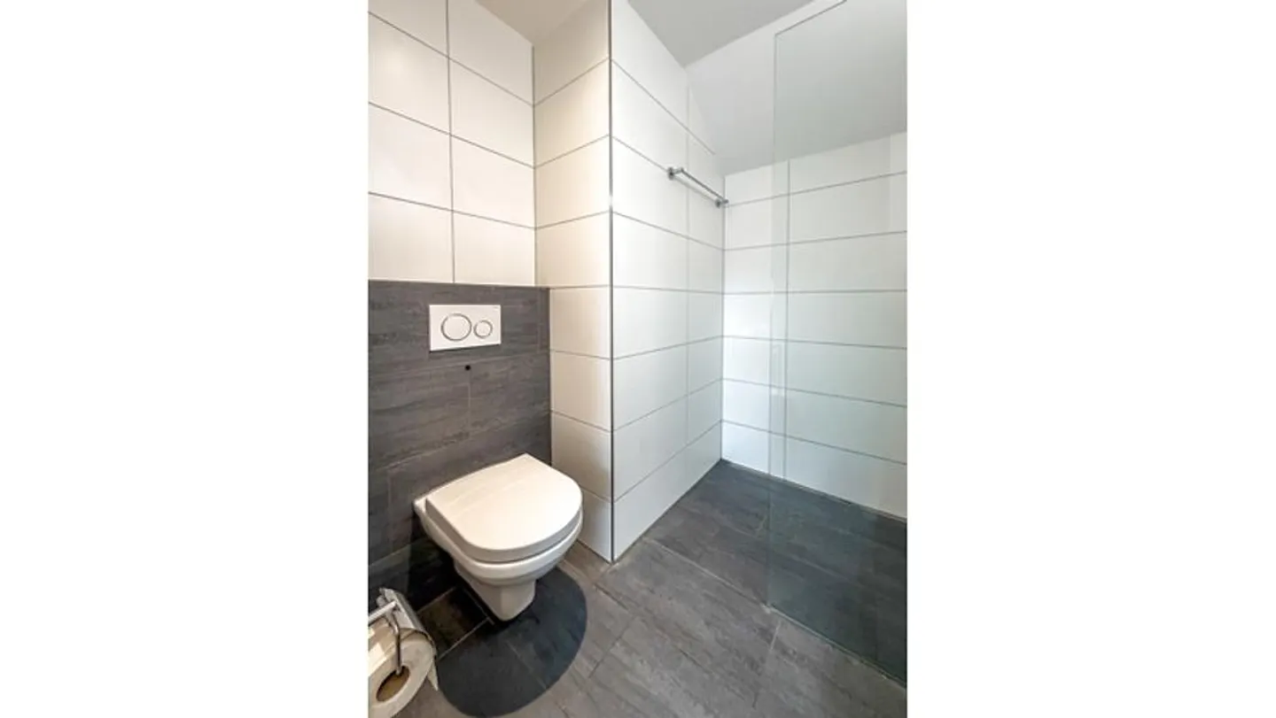 3½ ROOM APARTMENT IN BASEL - BACHLETTEN/GOTTHELF, FURNISHED, TEMPORARY - Photo 10 of 10