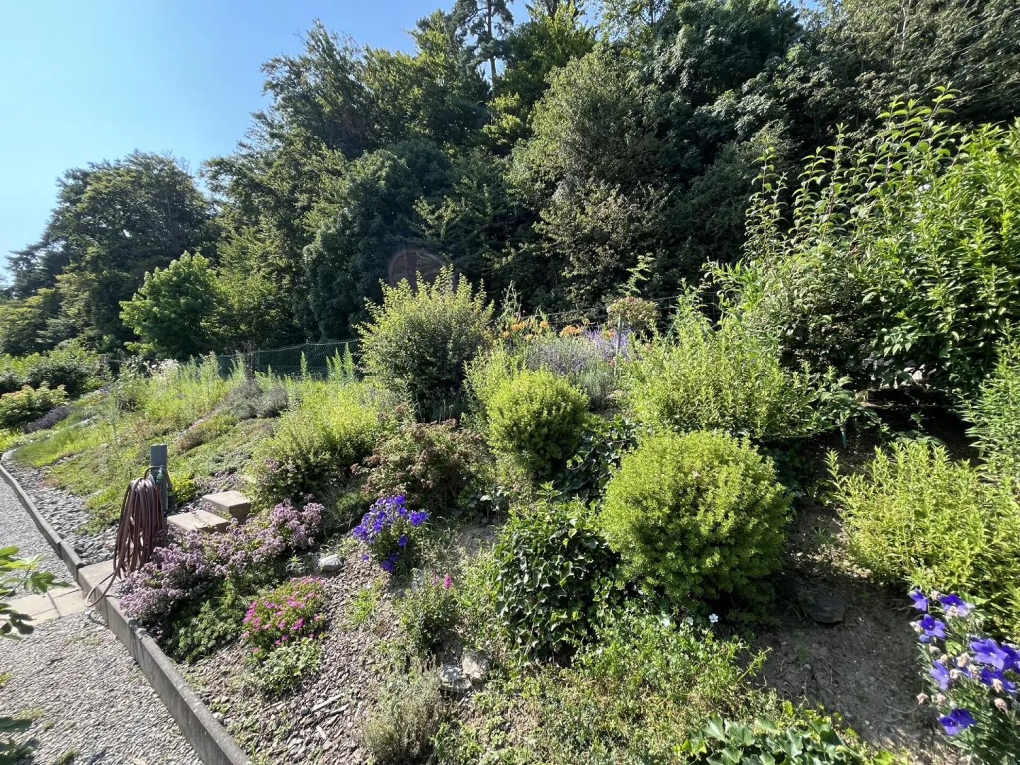 IN UNA MAGNIFICA CORNICE VERDE, CON GIARDINO PRIVATO - Foto 5 di 28