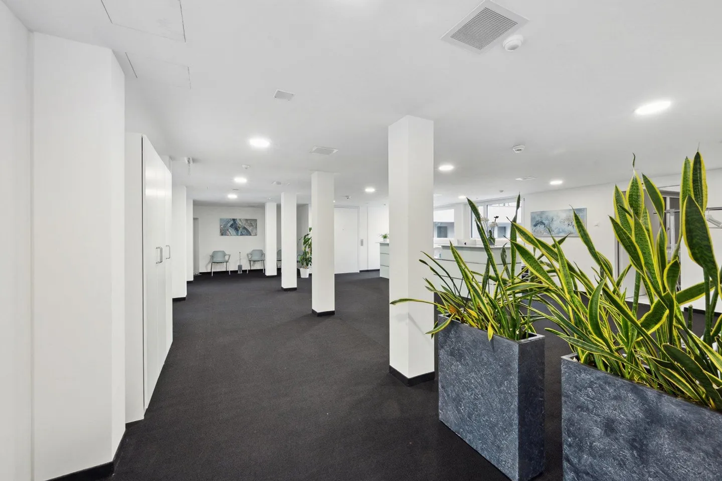 Klimatisierte Fläche am Claraplatz: Ideal für Arztpraxis oder Büro! - Foto 4 von 12