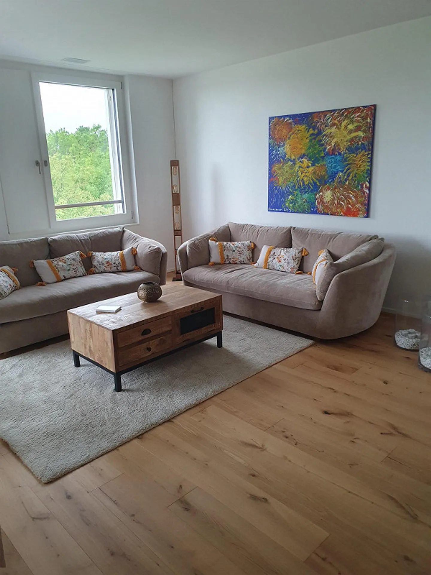 Appartamento 3,5 stanze ultra moderno cerca nuovo inquilino - Foto 1 di 2