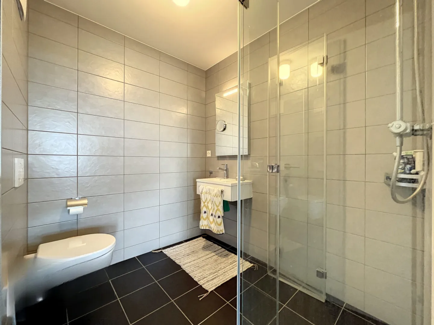 Condo for rent, plan-des-chenes (Cossonay, Switzerland) - Photo 7 of 7