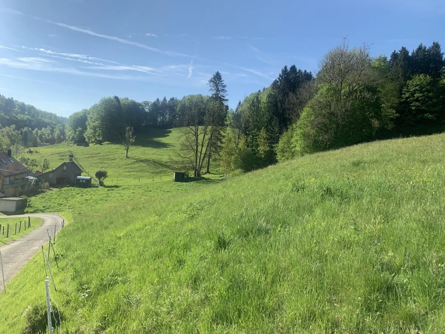 Erstklassiges Grundstück in Vallorbe - Foto 3 von 7