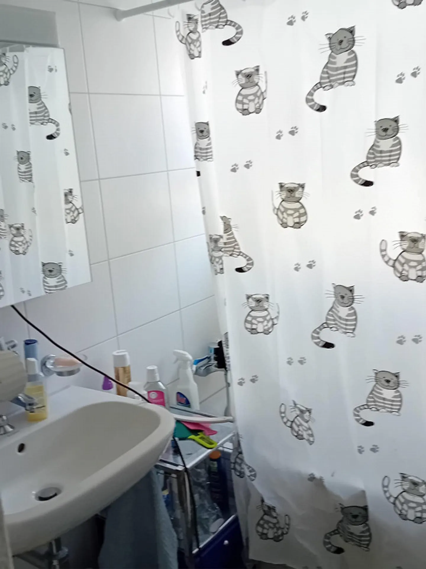 Geräumige Wohnung mit Balkon - Foto 11 von 15