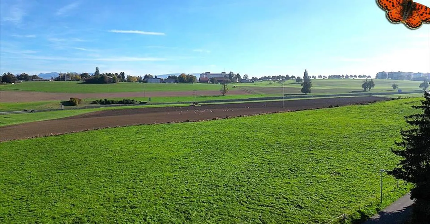 Attico eccezionale di 5,5 locali con terrazza panoramica di 104 m²! - Foto 7 di 12