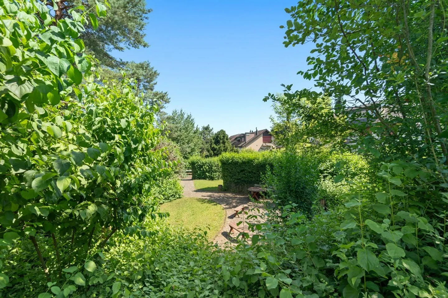 VIVERE nel VERDE - Foto 1 di 23