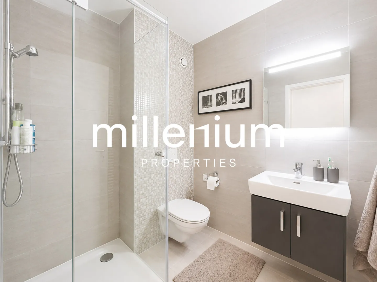 Stylish Apartment in Geneva - Photo 8 of 11