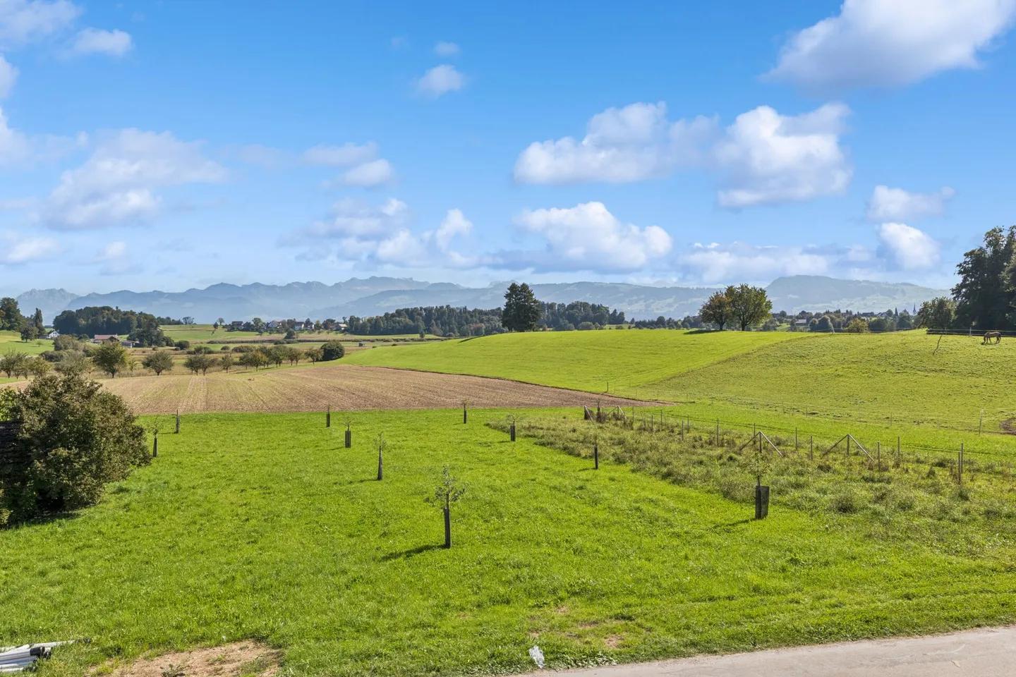 NEW BUILD: 2.5 Room Apartment on the Ground Floor - Photo 8 of 9