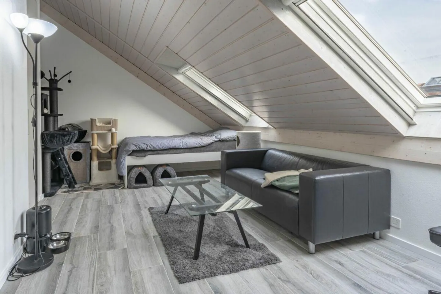 Triplex + renovated family basement - Photo 9 of 13