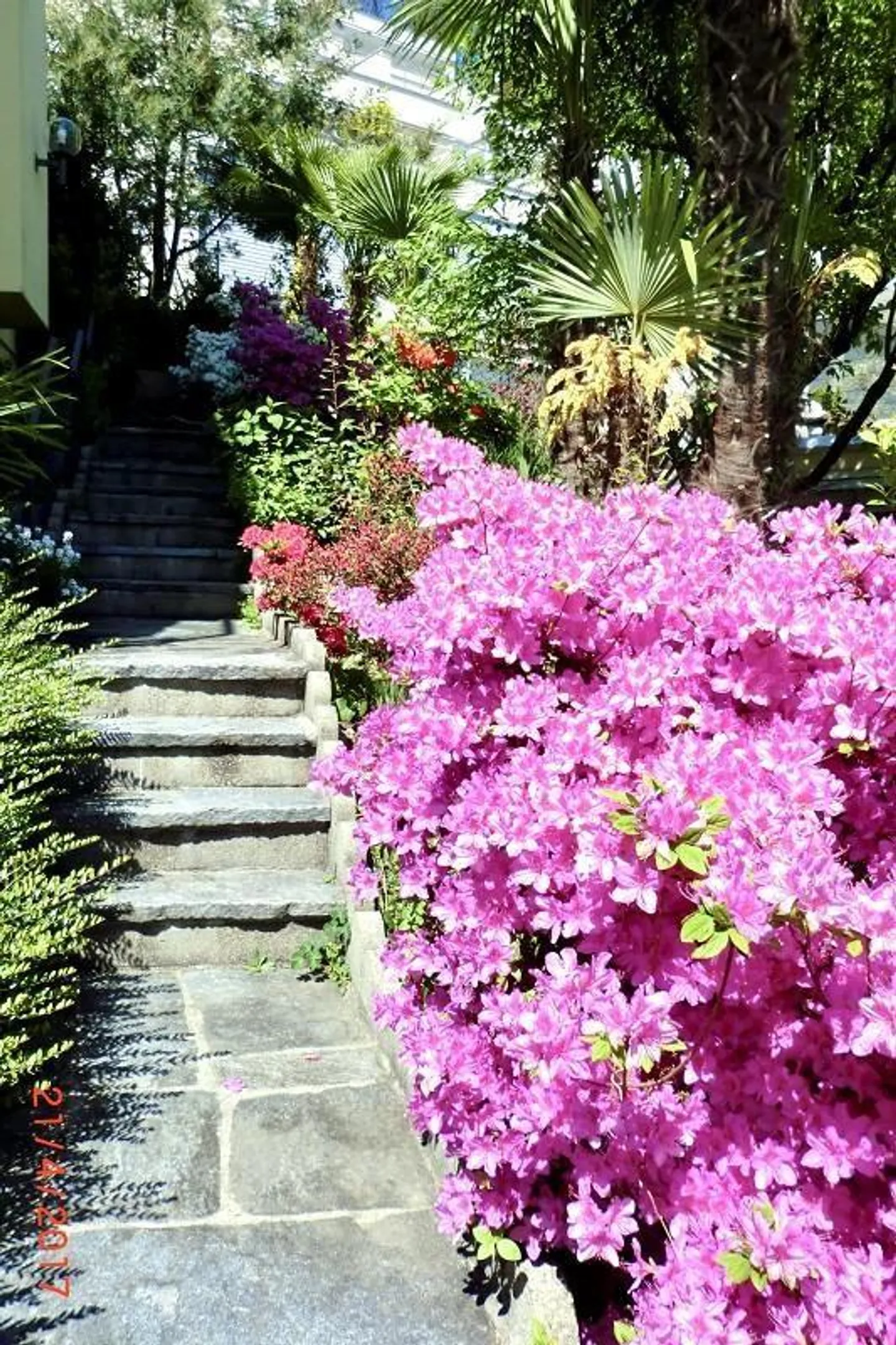4 1/2-Room Villa with Swimming Pool and Beautiful Garden - Photo 23 of 31