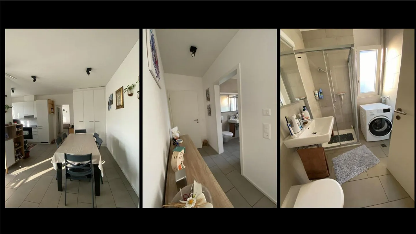 Untermieter ab 01.05.2026 für 2,5 Zimmer 250m von der Station und SUPSI - Foto 4 von 5