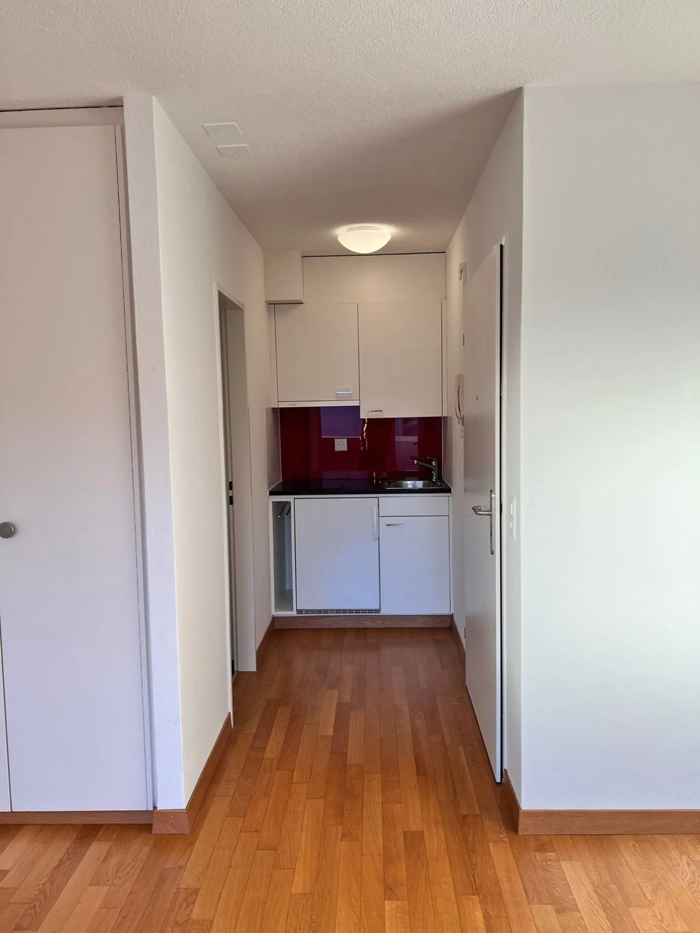Cozy 1-room apartment with balcony in Büron - Photo 2 of 10