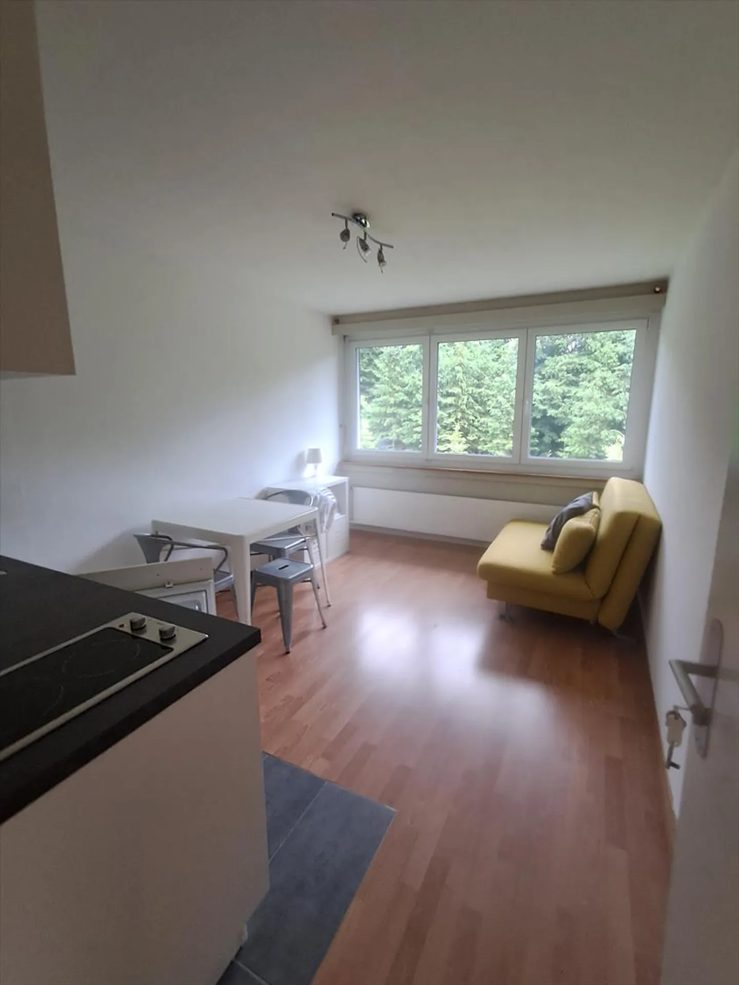 Furnished 1-room apartment - Photo 1 of 4