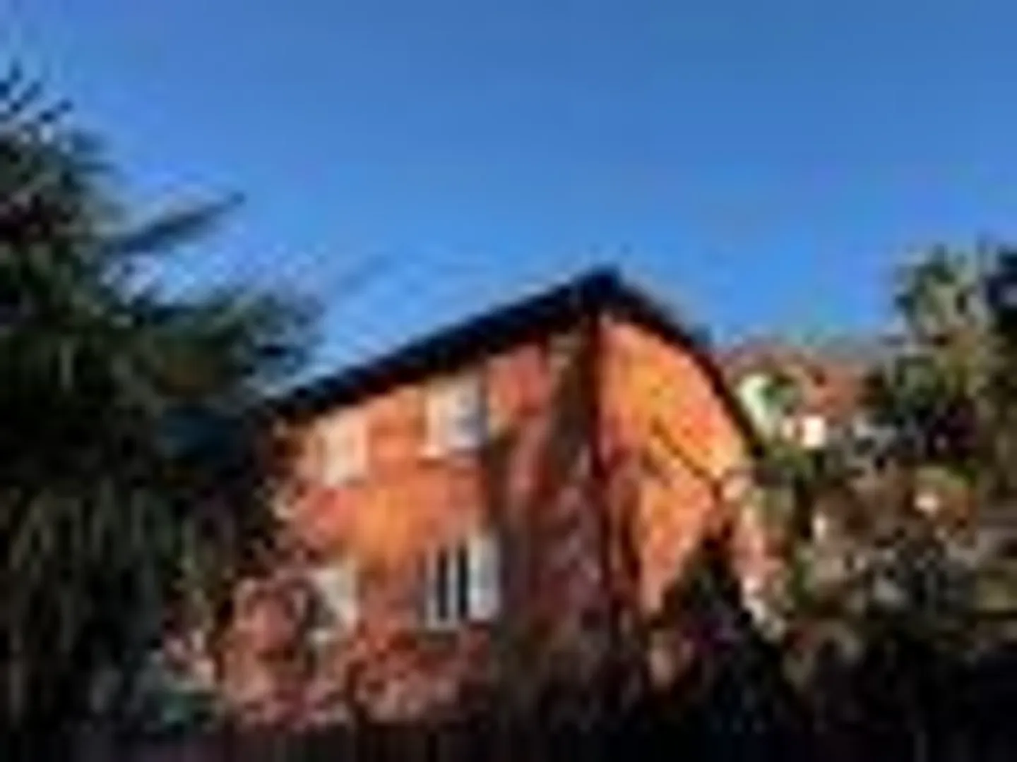 Casa singola in affitto - Foto 1 di 13