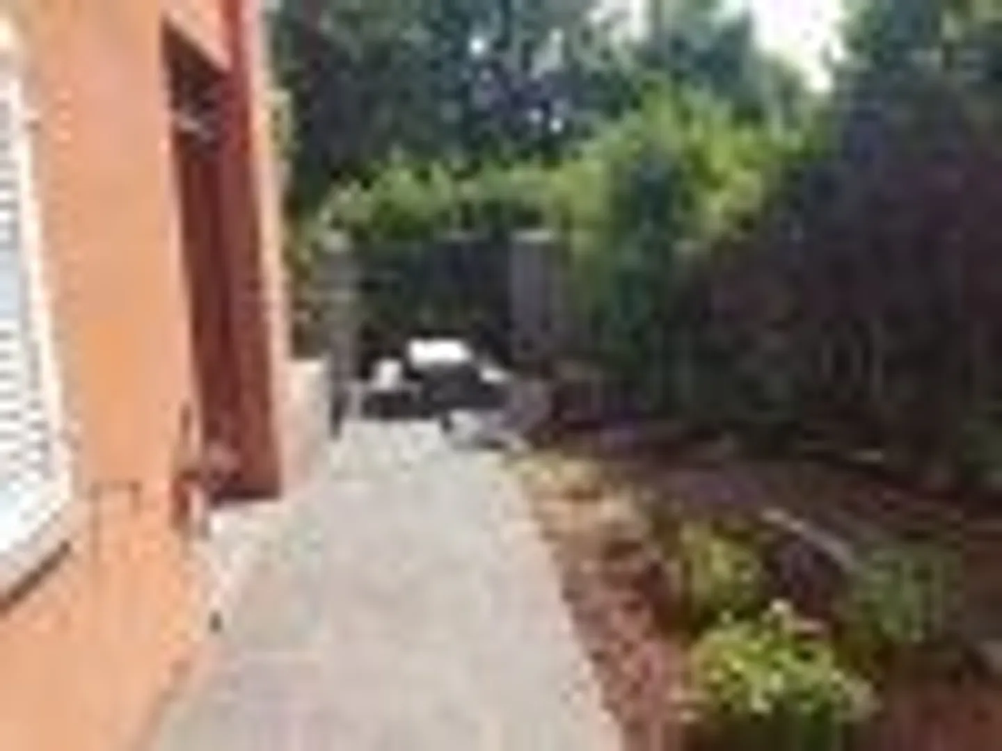 Casa singola in affitto - Foto 3 di 13