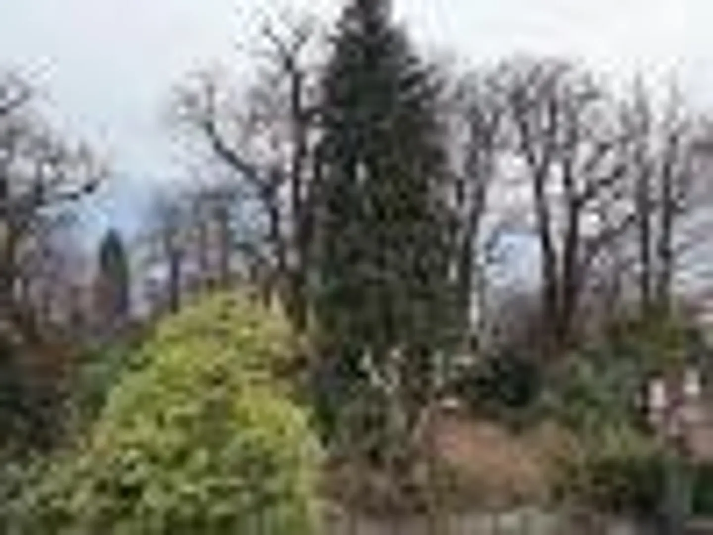 Casa singola in affitto - Foto 4 di 13