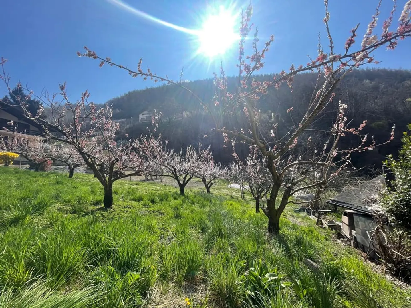 Appartamento attraente di 3,5 stanze con vista - Foto 13 di 13