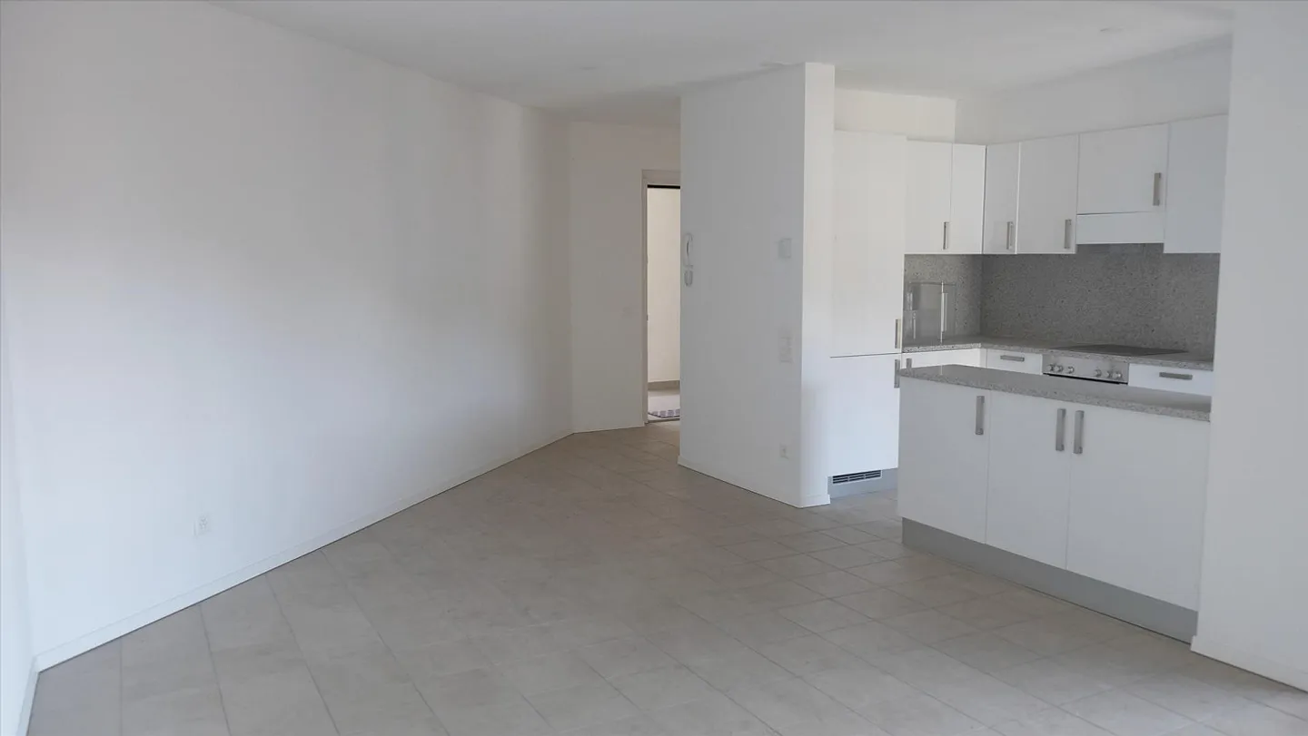 Elegante Wohnung in Pregassona - Foto 3 von 9