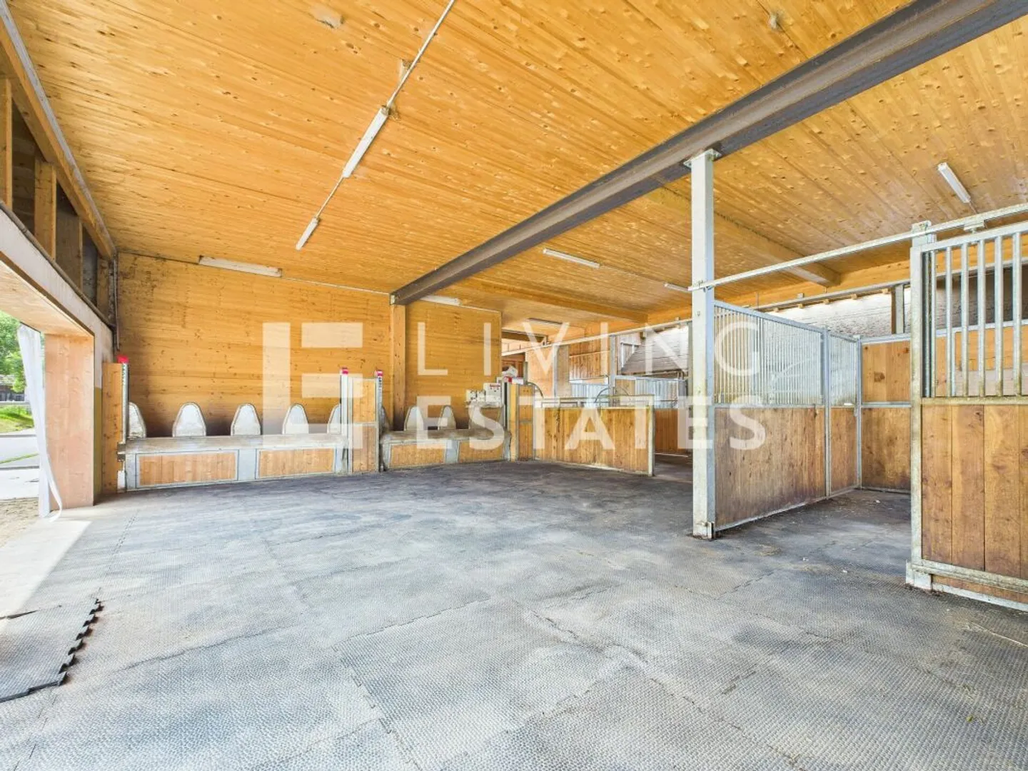 IDYLLIQUE ÉQUESTRE AU PLUS HAUT NIVEAU - CONFORT DE VIE AVEC STYLE - Photo 10 sur 19