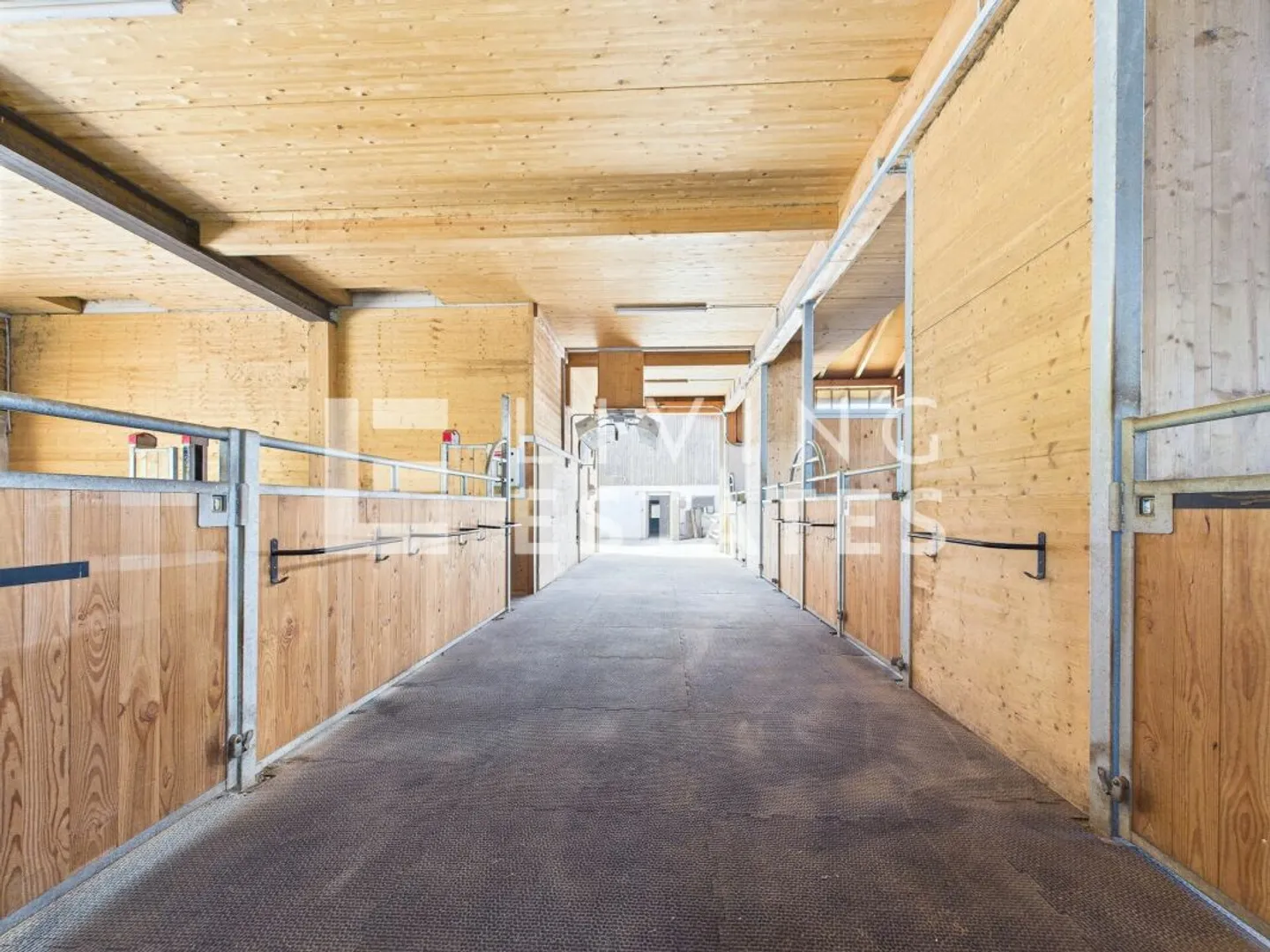 IDYLLIQUE ÉQUESTRE AU PLUS HAUT NIVEAU - CONFORT DE VIE AVEC STYLE - Photo 12 sur 19
