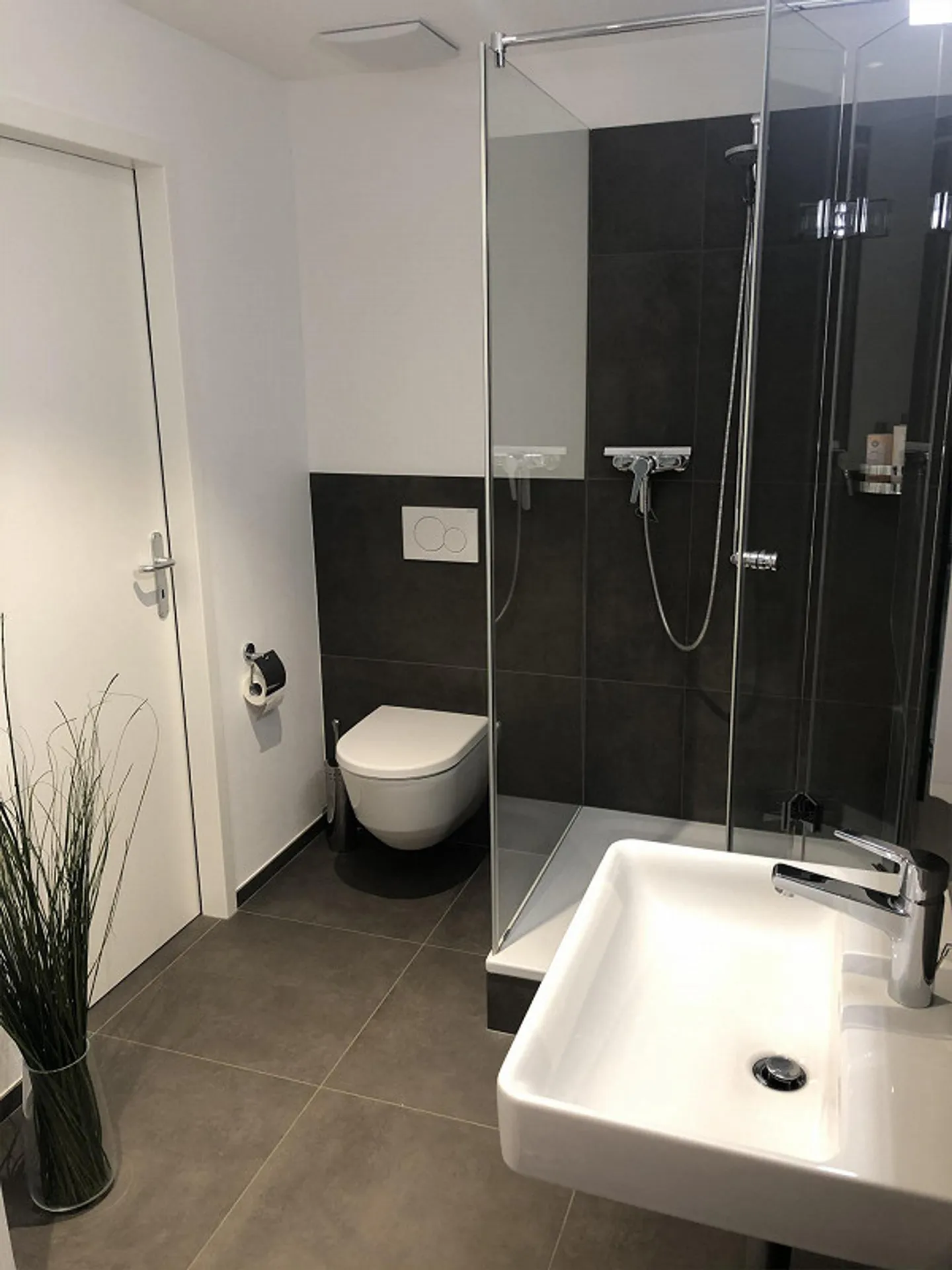 Appartamento 2,5 locali nel cuore di Sissach - Foto 3 di 4