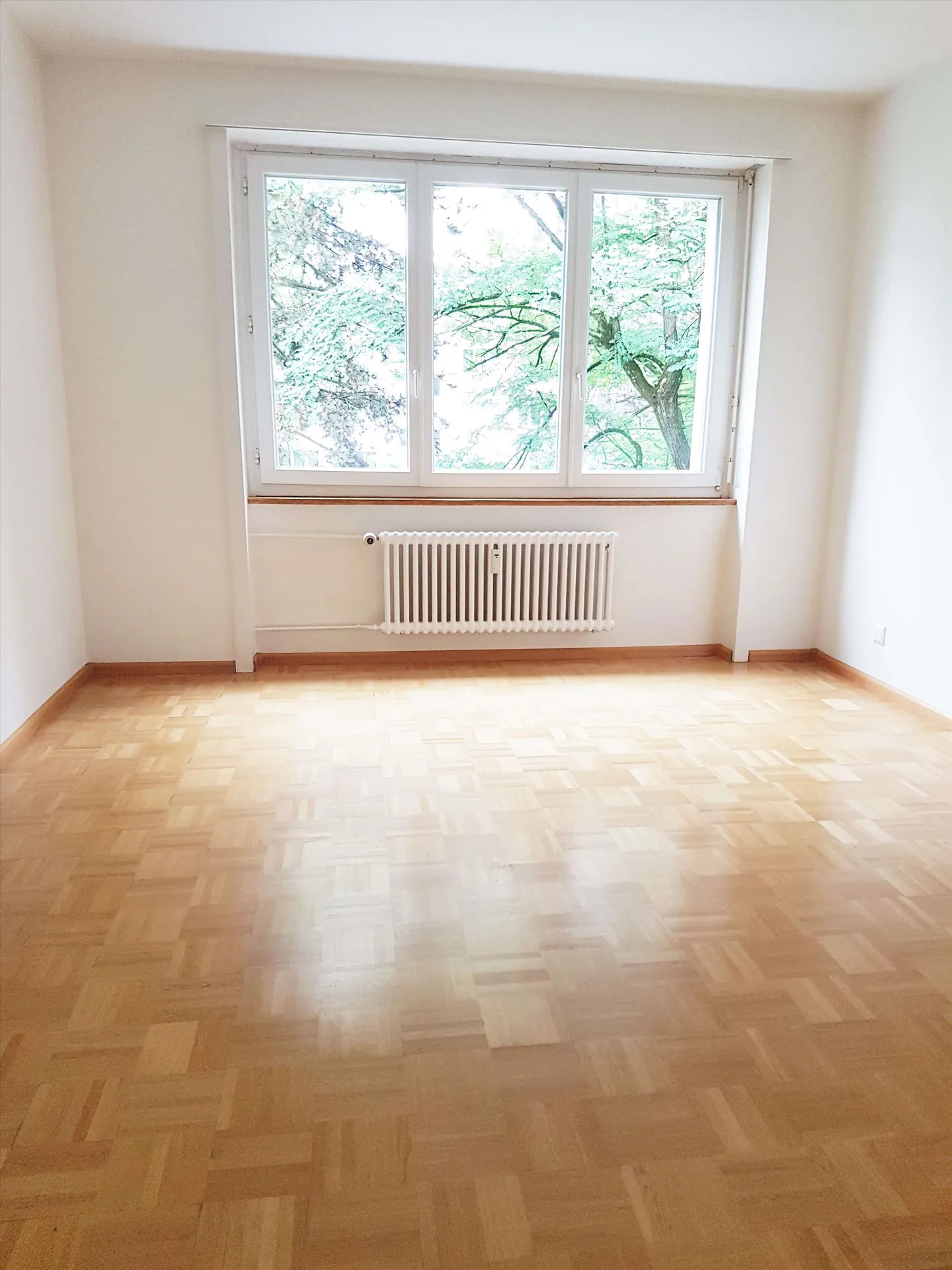 Geräumige 3-Zimmerwohnung - Foto 5 von 6