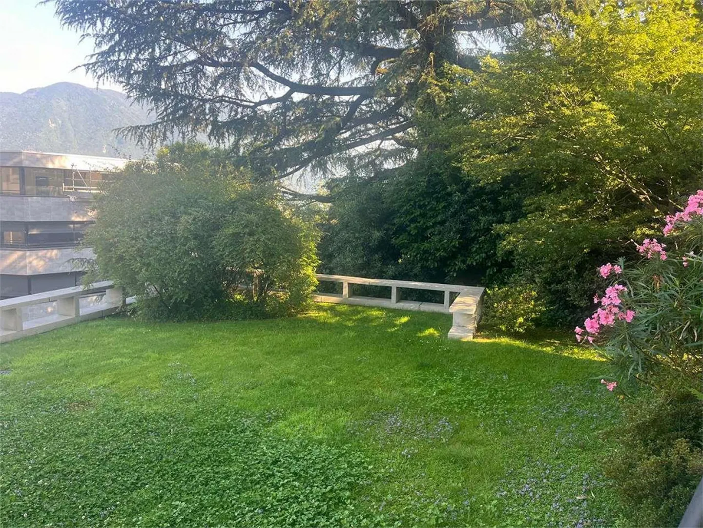 Lugano, spazioso 3,5  Piano terra - Foto 9 di 13