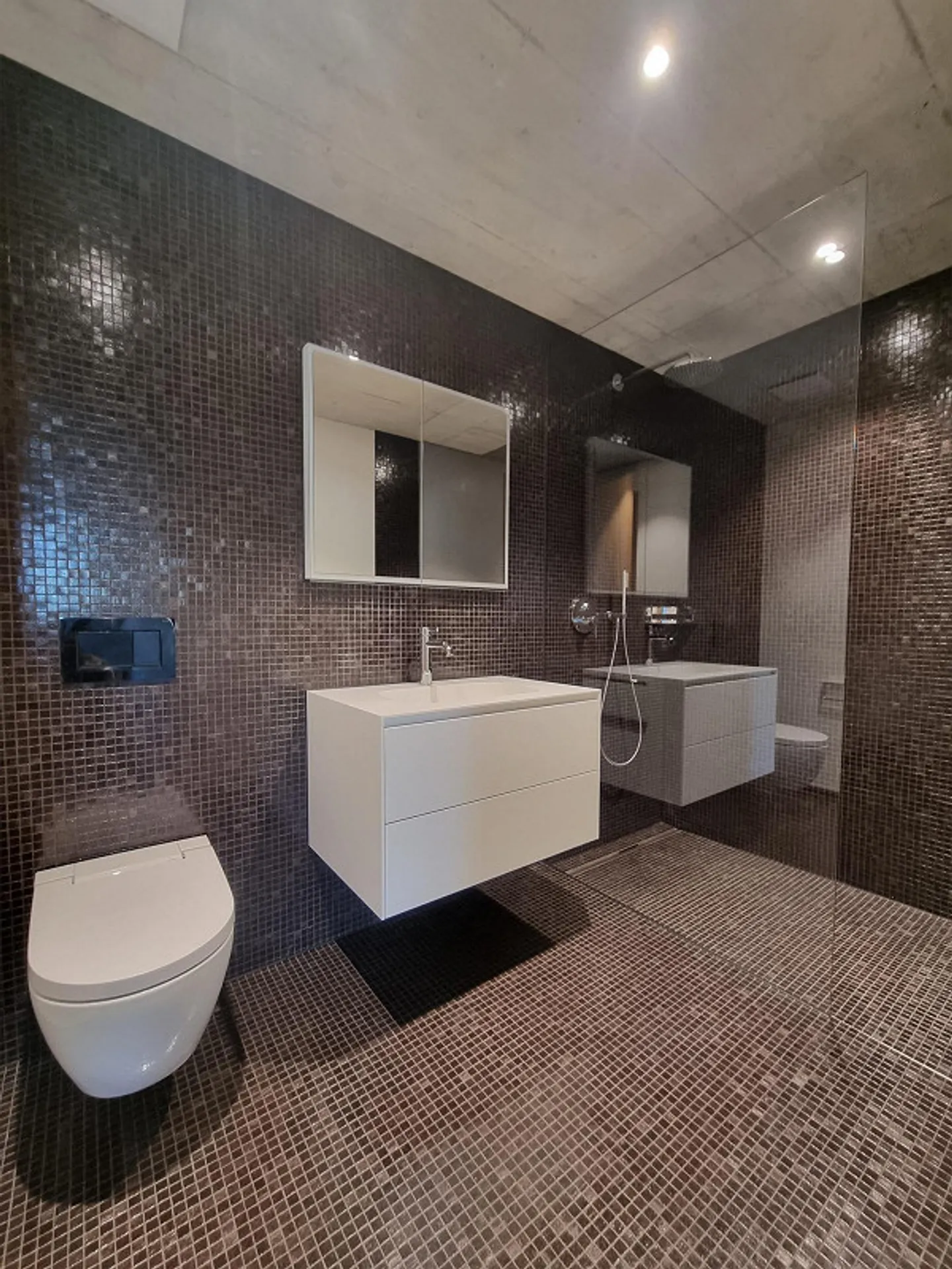 New apartments in Walchwil with swimming pool access - Photo 5 of 5