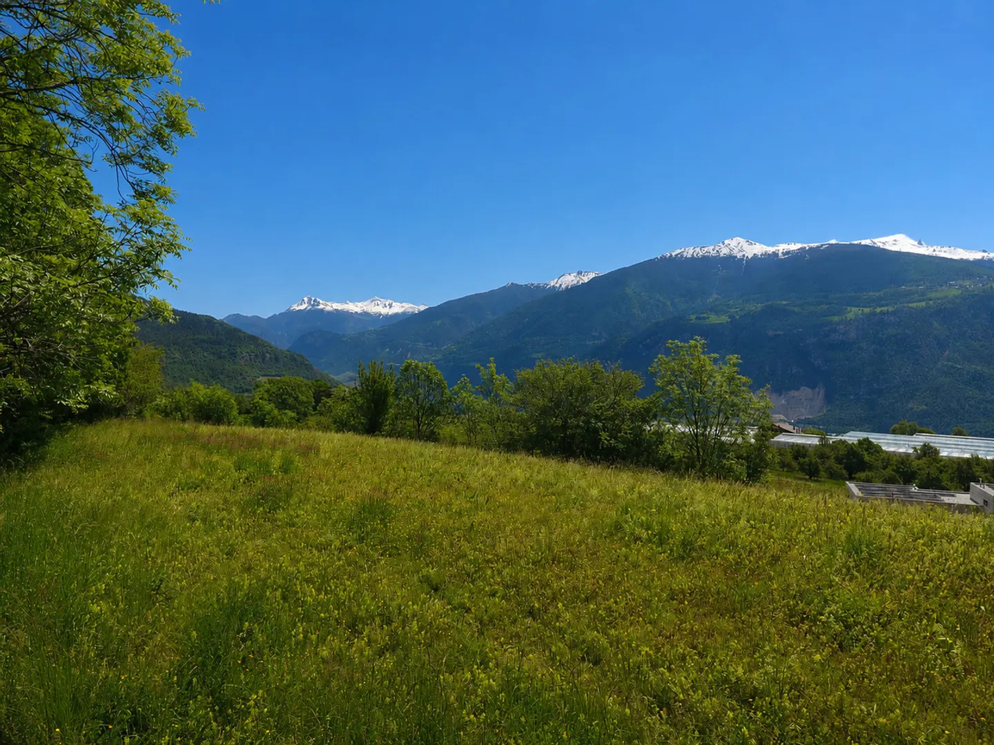 Nouvelle villa individuelle à Grimisuat - Photo 11 sur 14