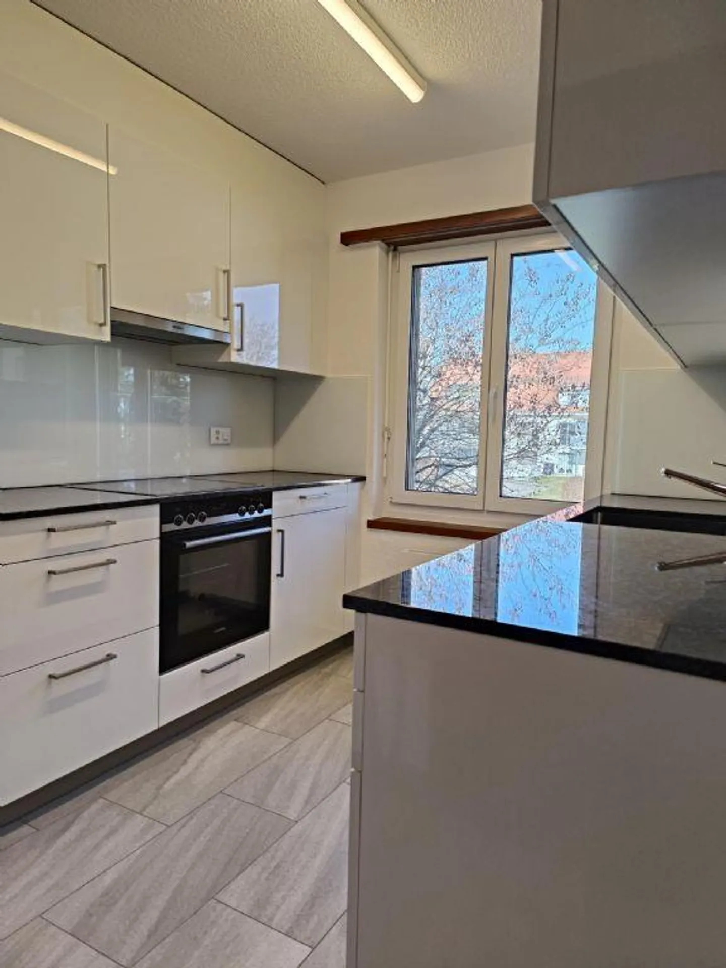 NEAR OLTEN | QUIET | IN THE GREEN - Photo 3 of 10