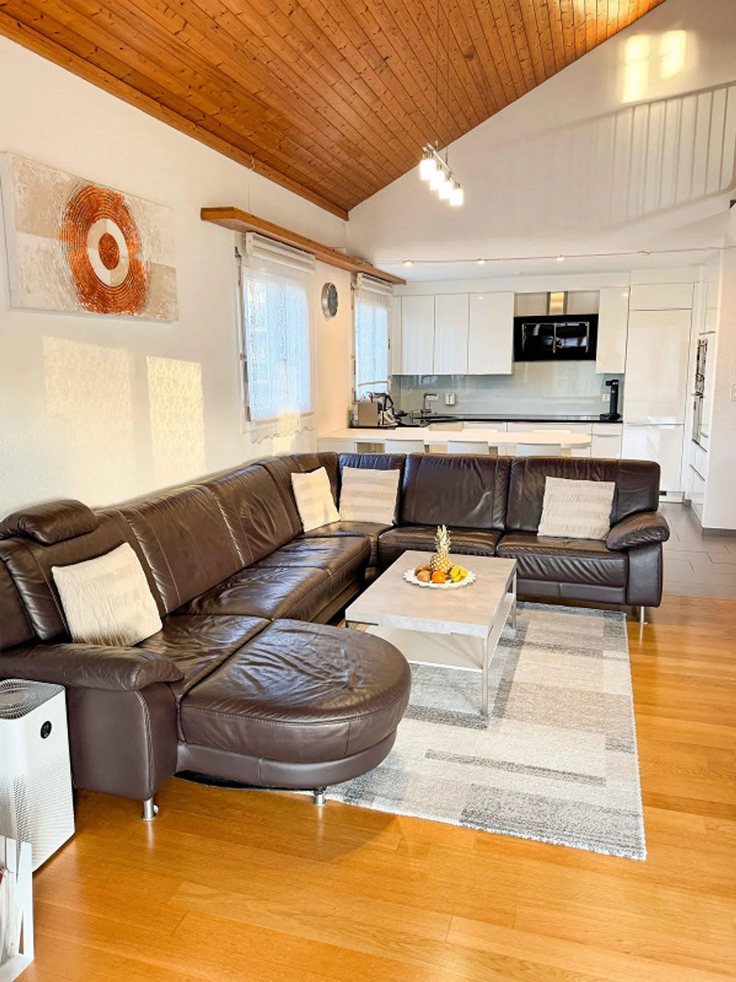 Bright home with sauna, fireplace and winter garden with whirlpool - Photo 3 of 28