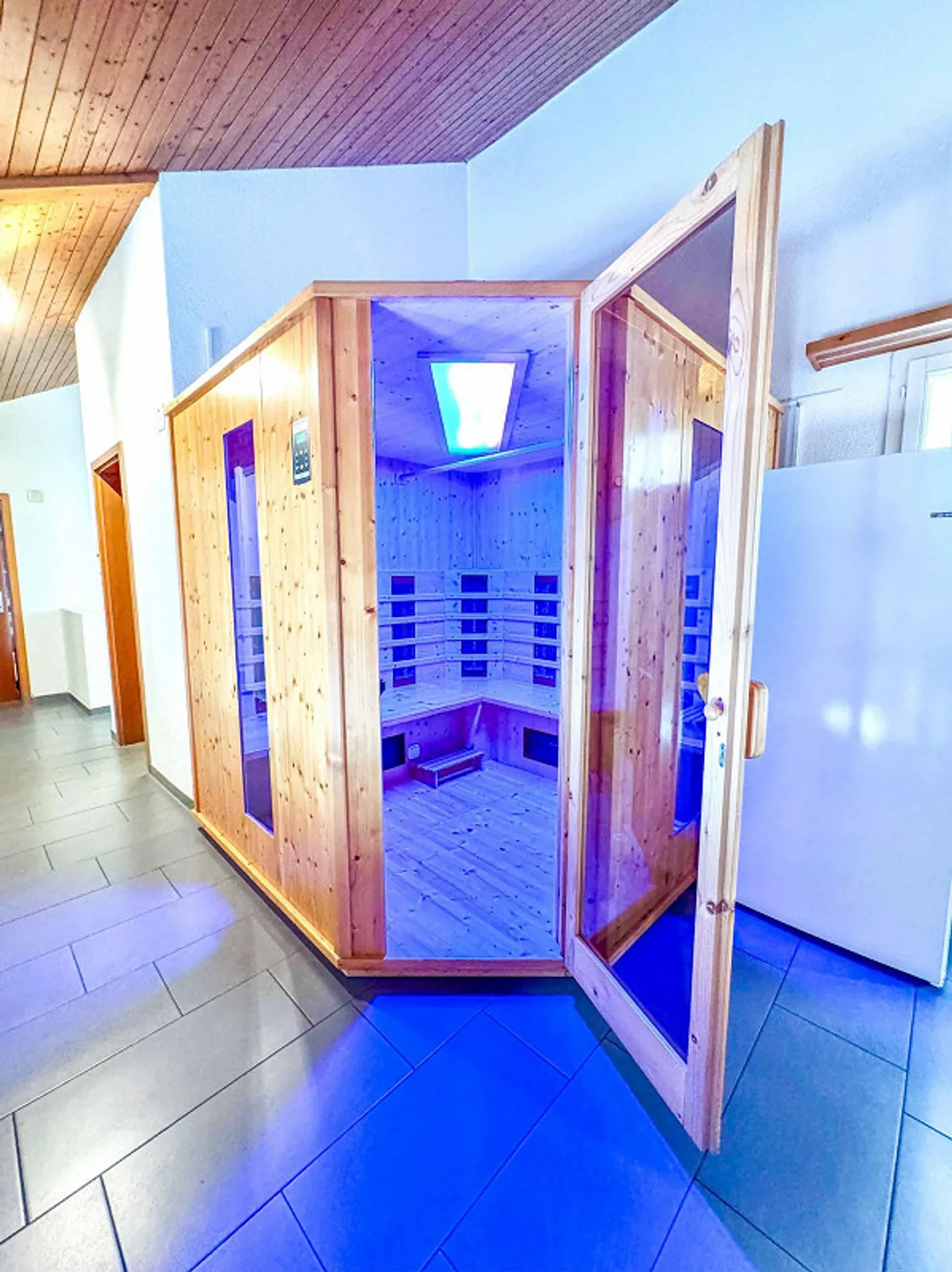 Bright home with sauna, fireplace and winter garden with whirlpool - Photo 15 of 28