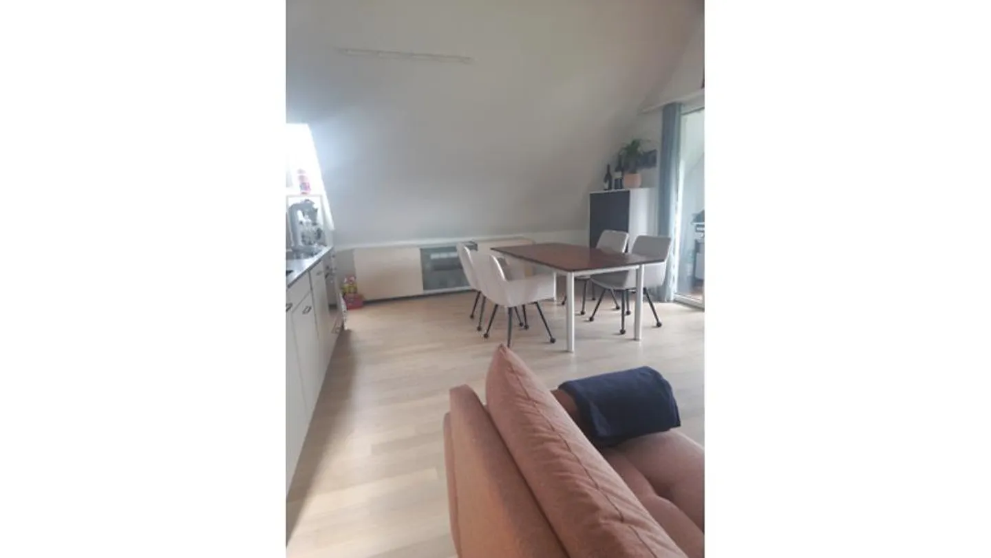 Möblierte Wohnung in Seuzach - Foto 2 von 10