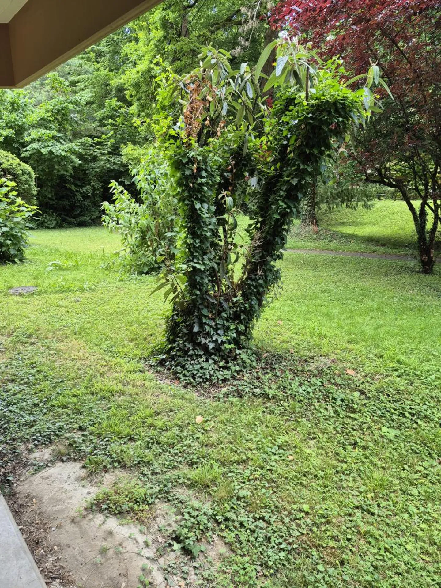 Appartamento 4.5 stanze - Foto 8 di 8