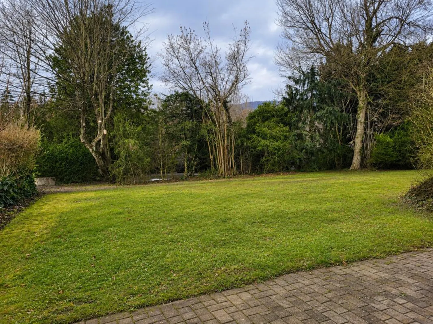Appartamento giardino 4.5 stanze soleggiato in una zona residenziale tranquilla - Foto 11 di 11