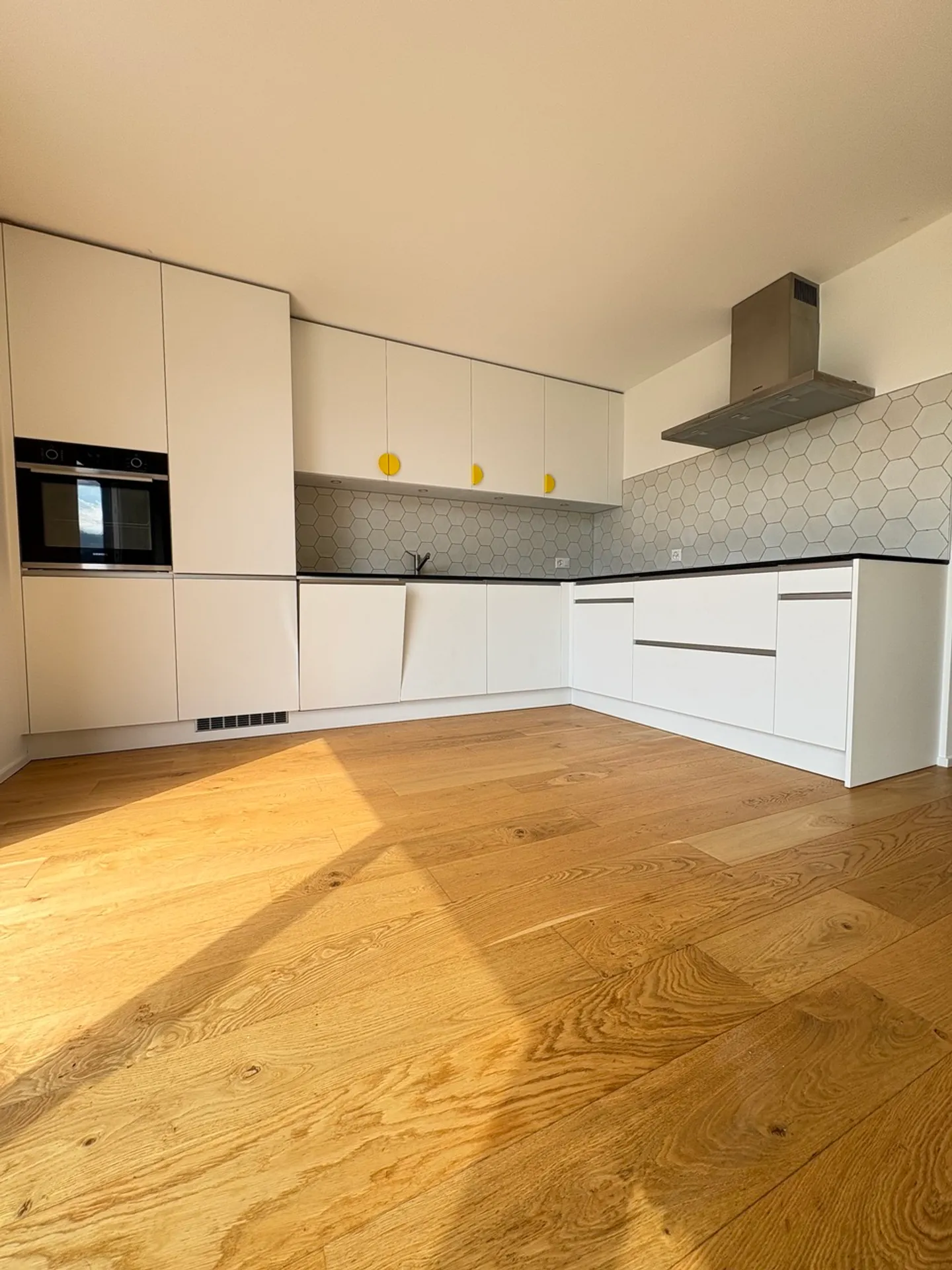 Modern Apartment with Lake View - Photo 5 of 13