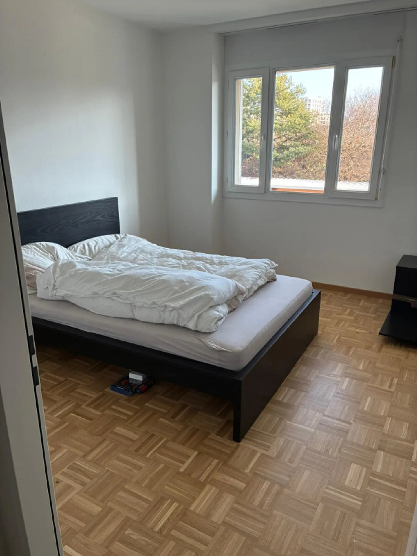 Magnifique appartement de 6 pièces - Photo 5 sur 8