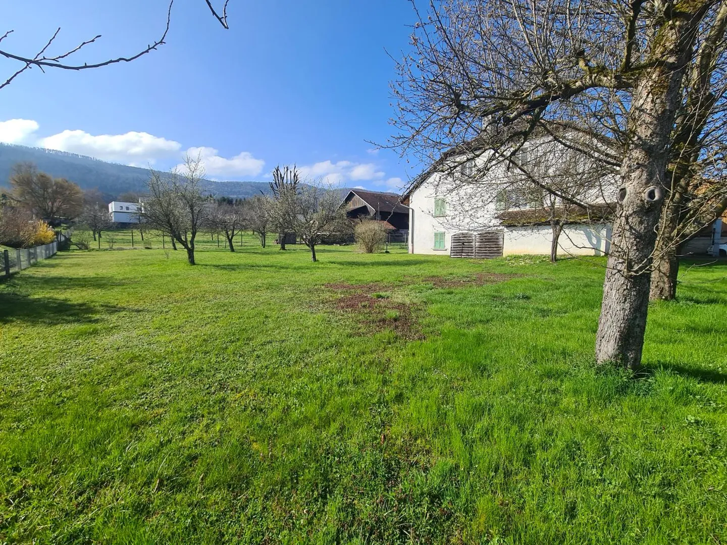 Grande casa con un magnifico lotto edificabile di circa 1.550 m² idealmente - Foto 10 di 29