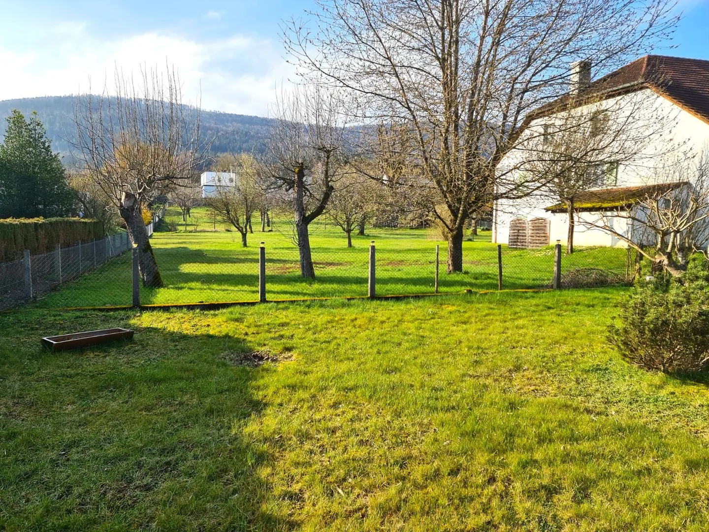 Grande casa con un magnifico lotto edificabile di circa 1.550 m² idealmente - Foto 11 di 29